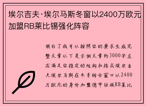 埃尔吉夫·埃尔马斯冬窗以2400万欧元加盟RB莱比锡强化阵容